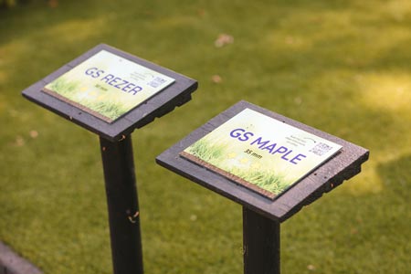 beste-ondergrond-voor-grasmat